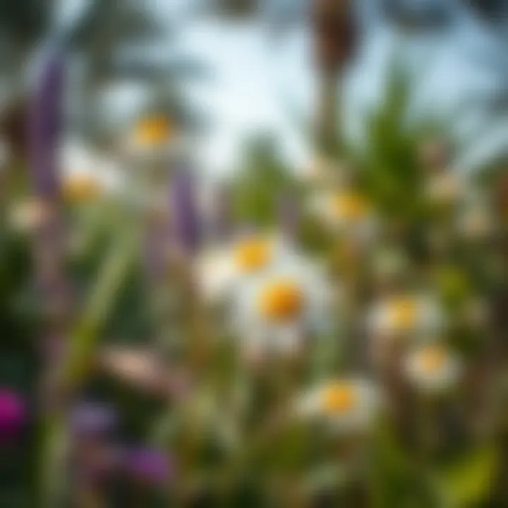 Close-up of diverse flora in Al-Batin Garden illustrating ecological diversity