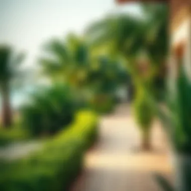 Picturesque Surroundings of Al Mamzar Beach Chalet Vibrant surrounding environment of Al Mamzar Beach Chalet with lush greenery and beach access