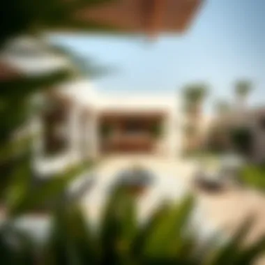 Outdoor space and garden area of the Alma home