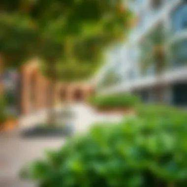 Vibrant community spaces in Bay Square filled with greenery