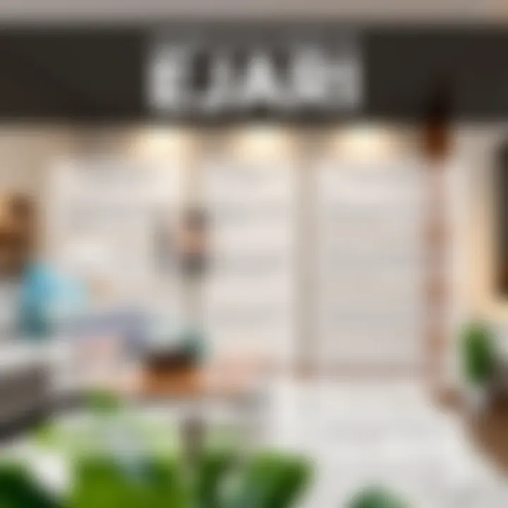 Understanding Ejari Importance An infographic showcasing the benefits of Ejari registration