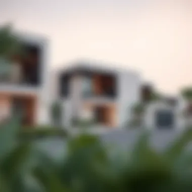 Contemporary Homes in Caya Arabian Ranches Modern residential architecture in Caya Arabian Ranches