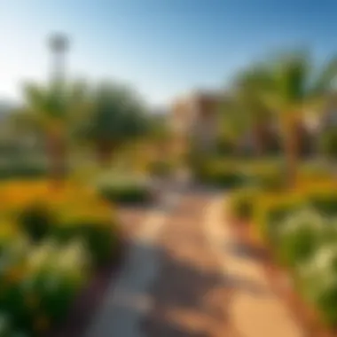 Beautiful Nature Trails Surrounding Caya Arabian Ranches Scenic nature trails around Caya Arabian Ranches
