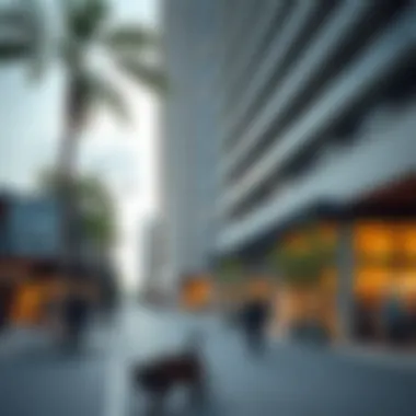 Surrounding community and lifestyle near Darwish Building