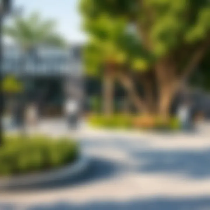 Vibrant Community Space in Wasl Green Park A vibrant community space in Wasl Green Park, highlighting recreational activities.