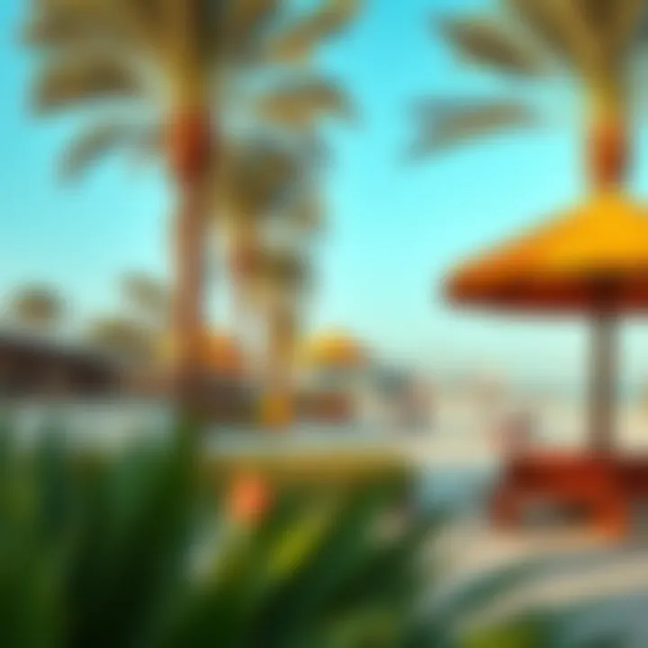 Relaxing environment at Creek Beach with families enjoying the outdoors