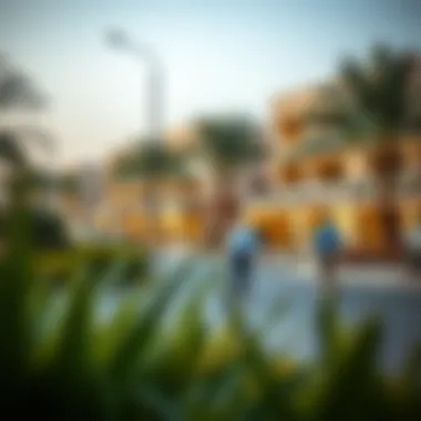 Vibrant community atmosphere surrounding Damac Ghalia