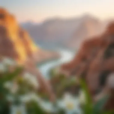 Breathtaking landscapes surrounding Damac Hills