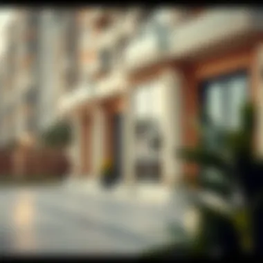 Legal framework governing tenant rights in Dubai