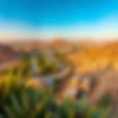 Al Ain Landscape - Nature's Embrace Panoramic landscape of Al Ain highlighting its natural beauty