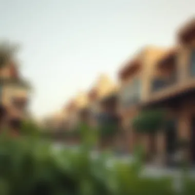 Cultural and lifestyle attractions in Al Gadeer that cater to diverse demographics