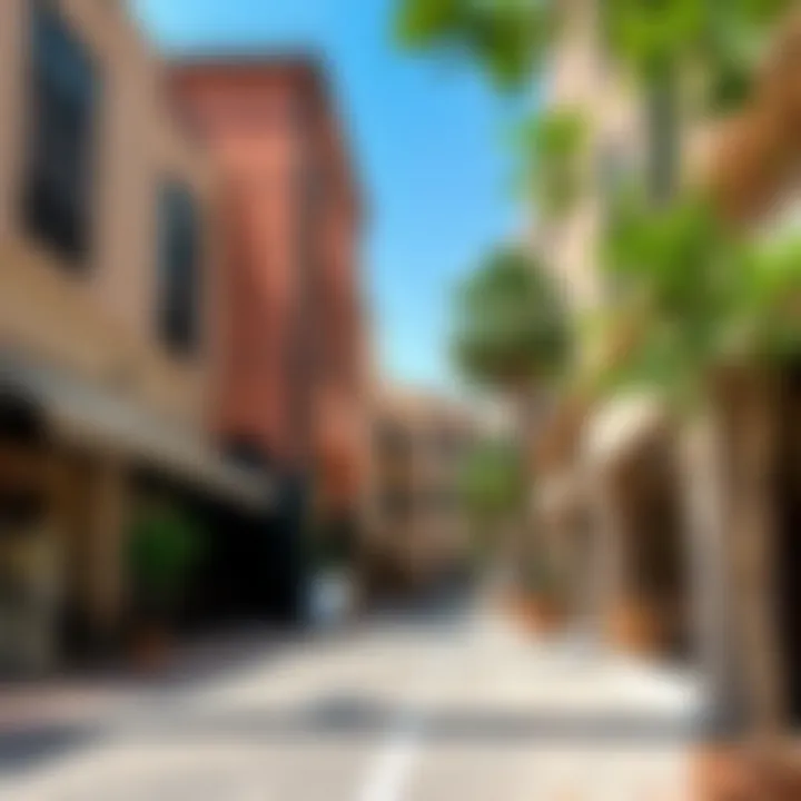 Cafes and Shops in Al Mahra Trendy cafes and shops lining the streets of Al Mahra