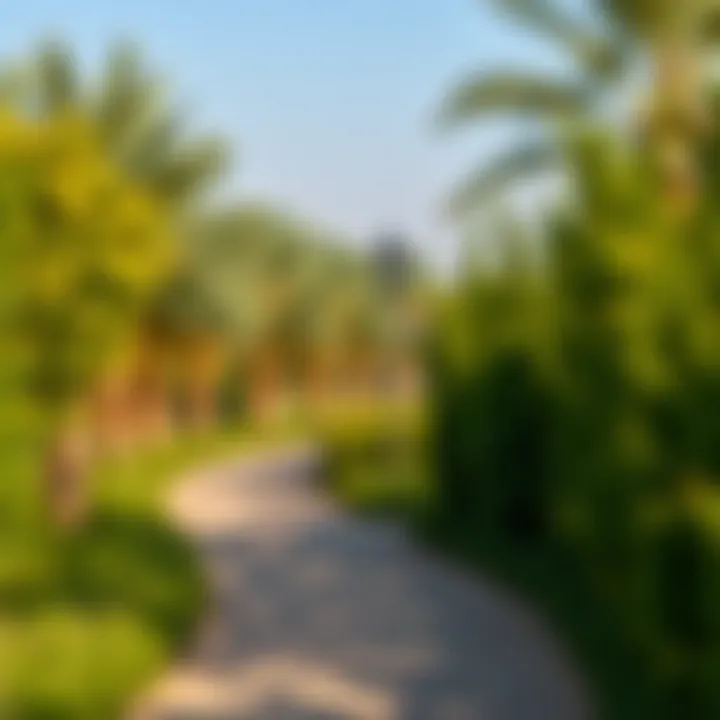 Walking path surrounded by lush greenery in the park