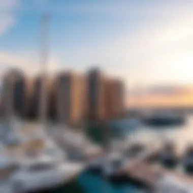 Sunset over marina with leisure boats