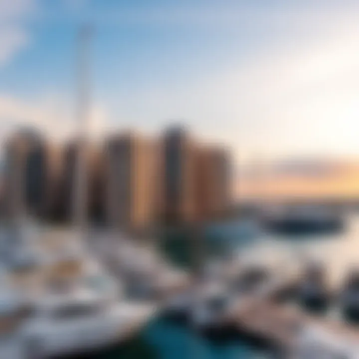 Sunset over marina with leisure boats