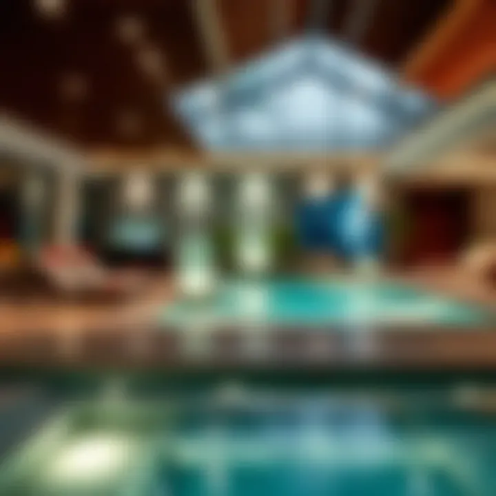 Luxury Amenities Offered in Dubai Holiday Homes High-end amenities such as a pool and spa in a holiday home