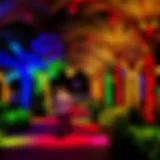 Illuminated pathways of Dubai Garden Glow showcasing vibrant colors