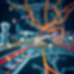 Dubai Metro map showcasing the extensive network of routes