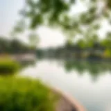 Serenity in Nature at Flamingo Park A serene view of Flamingo Park showcasing its lush greenery and tranquil lake.