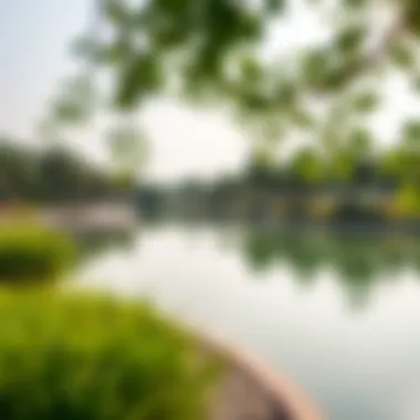 Serenity in Nature at Flamingo Park A serene view of Flamingo Park showcasing its lush greenery and tranquil lake.