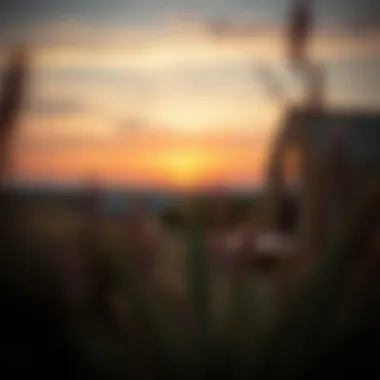 Stunning view of a glamping site at sunset