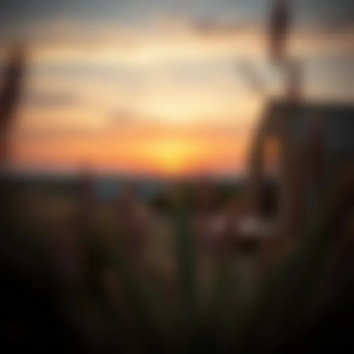 Stunning view of a glamping site at sunset