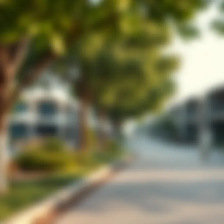 Tranquil community park with families enjoying nature in Dubai