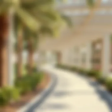 Scenic walking path in Dubai park