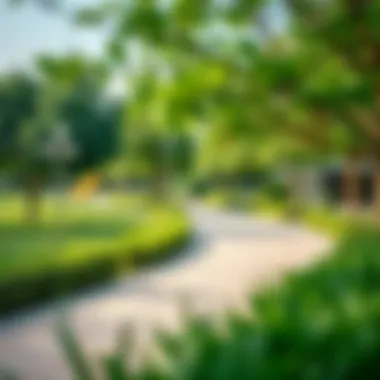 Community Park in JVC District 10 Vibrant community park in JVC District 10 with lush greenery and recreational facilities