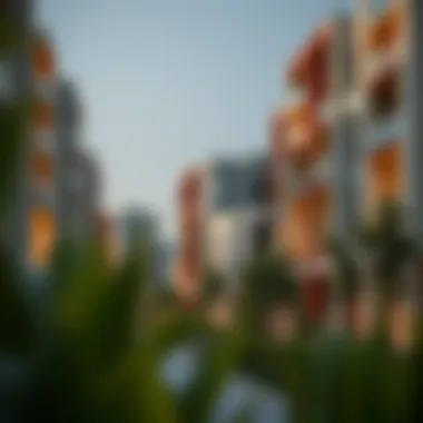 Modern residential buildings in Jumeirah Village Circle