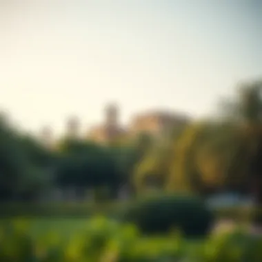 Lush greenery of Karama Park