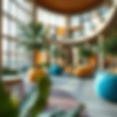 Engaging Community Spaces in Lulu Silicon Oasis Vibrant community spaces in Lulu Silicon Oasis