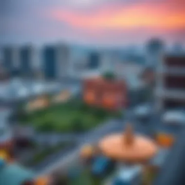 Aerial view of Meena Bazaar area showing urban landscape and real estate trends