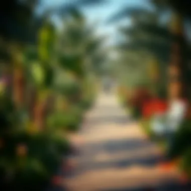 Walking path surrounded by nature in Pond Park