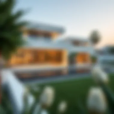 Modern Villa with Private Garden in Dubai Modern villa with private garden in Dubai