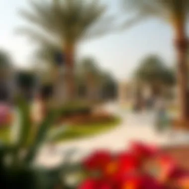 Vibrant park in a Dubai neighborhood with families enjoying leisure time