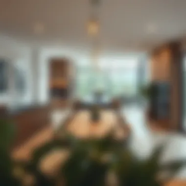 Open-plan kitchen and dining area in Discovery Garden