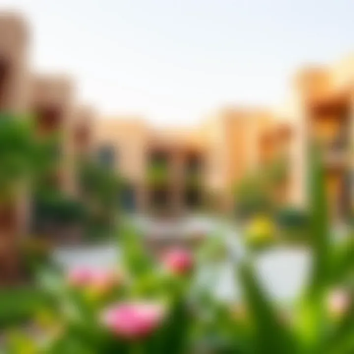 Community Spaces in Rukn Al Qasimia Vibrant community spaces in Rukn Al Qasimia filled with greenery