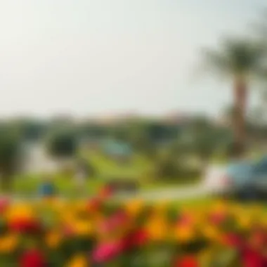 Family-friendly park in Jumeirah with lush greenery and community amenities