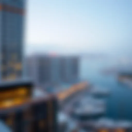 A panoramic view of Dubai Marina