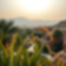 A stunning view of Al Ain's lush oasis landscape