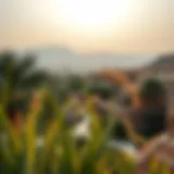 Lush Oasis Landscape of Al Ain A stunning view of Al Ain's lush oasis landscape