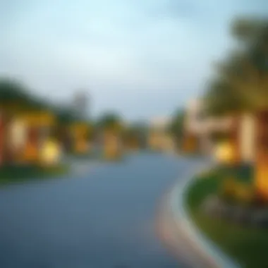 Community Parks in Northern Bani Yas Vibrant community parks enhancing the living experience
