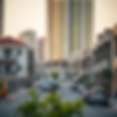 Surrounding Neighborhood Dynamics Neighborhood dynamics surrounding the Sama Building in Al Barsha 1