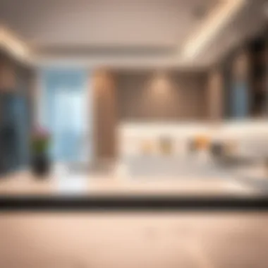 Modern kitchen equipped with high-end appliances in a villa