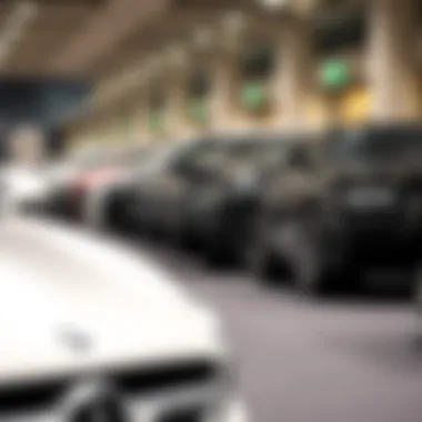 An array of different car models available for hourly rental