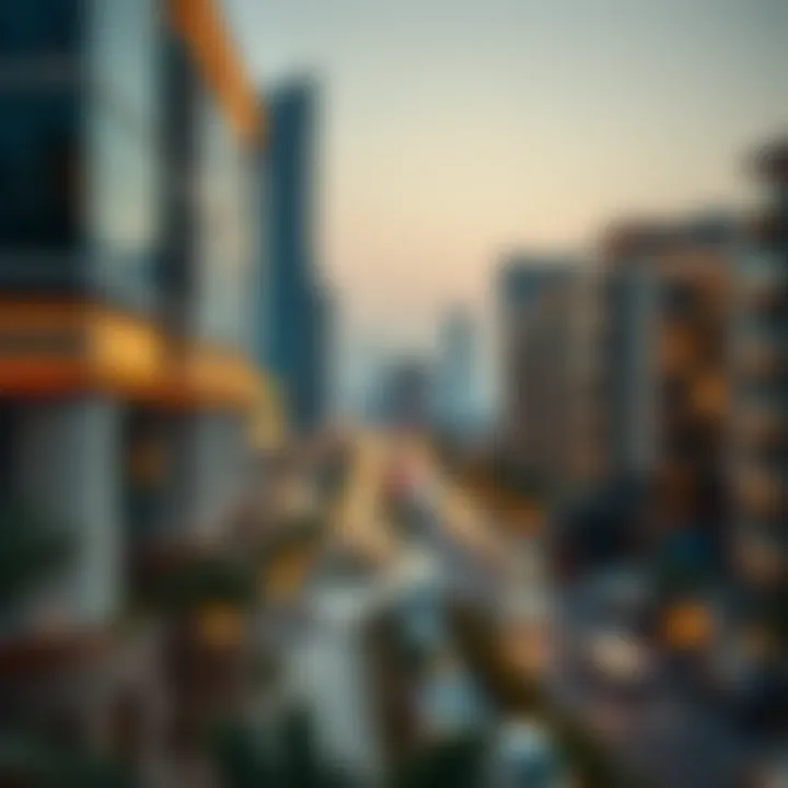 Infographic on investment strategies in the Dubai real estate market