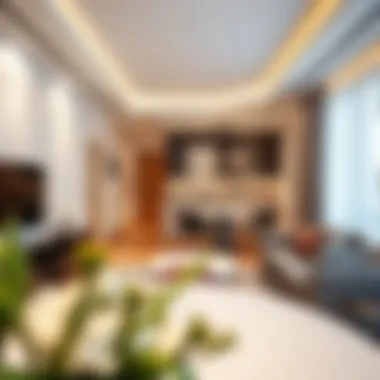 Modern 1 BHK apartment with stylish interiors