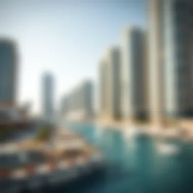 Future developments and urban planning in Mina Abu Dhabi