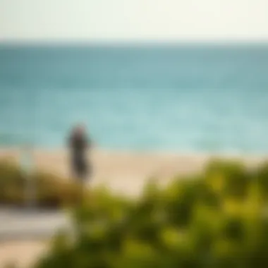 Sustainable initiatives at Nakheel Beach promoting environmental health